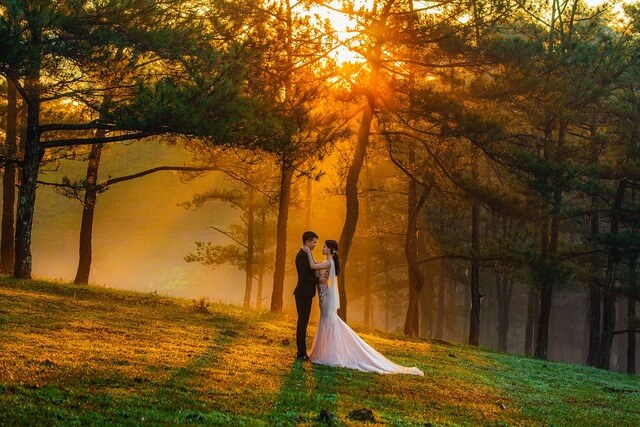 wedding photo sunset